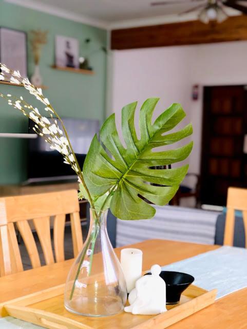 Danville Forest Guest House & Apartments ダーバン エクステリア 写真