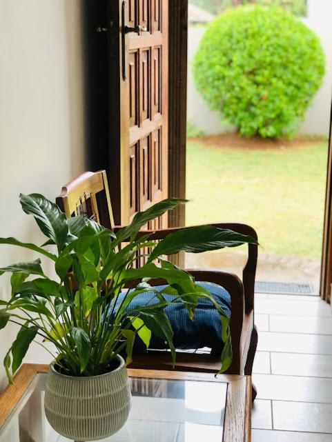 Danville Forest Guest House & Apartments ダーバン エクステリア 写真